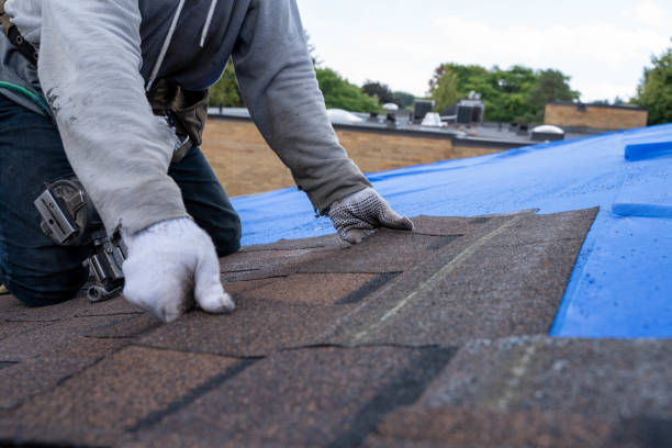 Roof Insulation in Sidney, IL